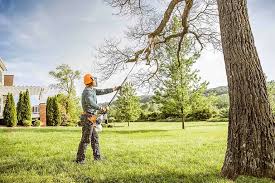 Best Hazardous Tree Removal  in Vermilion, OH