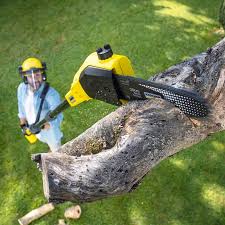 Best Organic Lawn Care Solutions  in Vermilion, OH